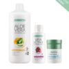 ABO Healthy Kids Summer